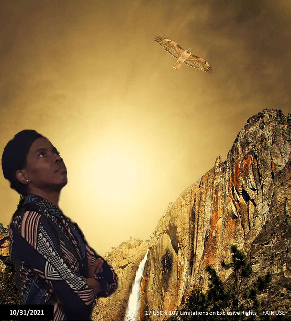 This image for Image Layouts addon